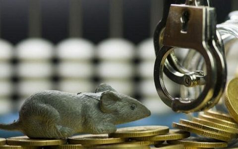 商品期货直播能